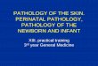 PATHOLOGY OF THE SKIN. PERINATAL PATHOLOGY, PATHOLOGY PATHOLOGY OF THE SKIN. PERINATAL PATHOLOGY, PATHOLOGY