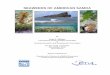Marine Plants of American Samoa - University of · PDF file encountered along the shallow shores of American Samoa. A brief overview of historical collections of American Samoa beginning