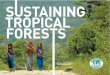 INTERNATIONAL TROPICAL TIMBER ORGANIZATION and Communications material/ITTO... · of tropical forest resources and local economic development. We work alongside local organisations