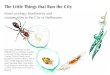 The Little Things that Run the City - WordPress.com · 2016-10-31 · The Little Things that Run the City Insect ecology, biodiversity and conservation in the City of Melbourne Luis