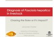 Diagnosis of Fasciola hepatica - Cattle Parasites · Diagnosis of Fasciola hepatica in livestock Chasing the fluke or it’s impact? Johannes Charlier Laboratory of Parasitology Faculty