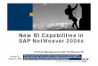 New BI Capabilities in SAP NetWeaver 2004s New BI Capabilities in SAP NetWeaver 2004s ... Missing change
