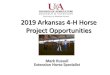4-H Horse Project Opportunities - uaex.edu · 2018-12-05 · 2019 Arkansas 4-H Horse Project Opportunities Mark Russell Extension Horse Specialist. Clinics and Workshops Scattered