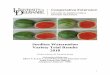 Seedless Watermelon Variety Trial Results 2018...Seedless Watermelon Variety Trial Results 2018 Gordon Johnson & Emmalea Ernest University of Delaware Elbert N. & Ann V. Carvel Research