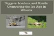 The Ice Age Vertebrate Record in Alberta Presentation_Jass.pdfchris.jass@gov.ab.ca 780-453-9127 ... Chris Jass Created Date: 11/21/2016 8:50:25 PM 