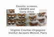 Genetic screens, CRISPR and Gene Drivevorgogoz/courses/M1-course-G-P/2018... · 2018-11-13 · Genetic screens, CRISPR and Gene Drive. Biochemistry versus Genetics. Genetic screens