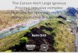 The Carson-Hart Large Igneous Province intrusive complex ...• Large Igneous Provinces (LIPs) represent the largest known volcanic episodes on Earth – each lava flow representing
