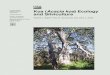 Koa (Acacia koa) Ecology and Silviculture ... Koa (Acacia koa) ecology and silviculture. Gen. Tech. Rep. PSW-GTR-211. Albany, CA: U.S. Department of Agriculture, Forest Service, Paciﬁc