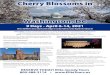 Cherry Blossoms in Washington, DC · Cherry Blossoms in Washington, DC 9 Days - April 6-14, 2021 BUS 2 DEPARTS : Sioux City IA | Fort Dodge IA | Cedar Falls IA | Cedar Rapids IA |
