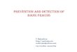 prevention and detection of bank frauds · 2015-07-17 · Contents and concepts Bank Frauds: definition and the concept Financial frauds and economic offences Types of bank frauds