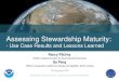 Assessing Stewardship Maturity ¢â‚¬¢ Capability Maturity Model Integration (CMMI) ¢â‚¬¢ Levels of Maturity