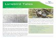 Lyrebird Tales · 2017-04-21 · Lyrebird Tales March 2017 3 Then we reached the Grand Canyon. You see it on TV but the real thing is so much more impressive. We walked 25km along
