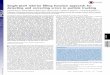Single-pixel interior filling function approach for ... · PDF file Single-pixel interior filling function approach for detecting and correcting errors in particle tracking Stanislav
