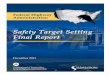 Safety Target Settings Final Report · transportation safety targets. 17. Key Words. Safety, performance measures, targets, goal, ... and directions for the future in safety target