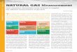 Technology Spotlight NATURAL GAS Measurement · 2015-03-25 · APPLICATION REPORT | Technology Spotlight The natural gas industry is a key segment of many global economies. It is