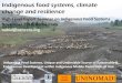 Indigenous food systems, climate change and resilience · Indigenous food systems, climate change and resilience High-Level Expert Seminar on Indigenous Food Systems November 2018,