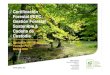 Certificación Forestal PEFC: Gestión Forestal Sostenible ... · Implantación de la Certificación Forestal 8 Distribución por CCAA de la superficie certificada PEFC. 31 marzo