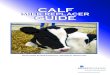 Calf Milk Replacer uide...Proteins The recommendation for milk replacer protein level is 20 to 28 percent. Higher protein levels usually coincide with higher milk replacer feeding