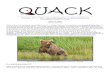 Newsletter of E.J. Peiker, Nature Photographer and PDF/Quack Autumn 2008.pdf · 2009-09-24 · Frames Per Second – The D700 without grip is 5 fram es per second and with the optional