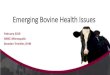 Emerging Bovine Health Issues - Cooperative …...•Dairy Cattle alone represent 35% of the weight of Humans in the US! • Cattle represent 185% the amount of human weight All injections