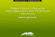 Pega Client Lifecycle Management for Financial Services 7 ... · Pega Client Lifecycle Management for Financial Services provides an easy-to-use tool to define the operational taxonomy