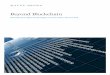 Beyond Blockchain - Mayer Brown · 2018-12-31 · Beyond Blockchain. mayer brown x 1 ... platform is well poised to help clients navigate the complex and novel legal issues that DLTs