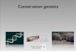 Conservation genetics - Ursenbacherursenbacher.com/teaching/conservation_genetics_09.pdf · Small populations Loss of genetic diversity Mutational accumulations Reproductive ﬁtness