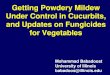 Getting Powdery Mildew Under Control in Cucurbits, ... Getting Powdery Mildew Under Control in Cucurbits, and Updates on Fungicides for Vegetables Mohammad Babadoost University of