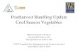 Postharvest Handling Update Cool Season Vegetablescesantabarbara.ucdavis.edu/files/75496.pdf · Postharvest Handling Update Cool Season Vegetables • Broccoli – Iced to iceless