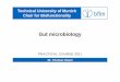 Technical University of Munich Chair for …...Technical University of Munich Chair for Biofunctionality PRACTICAL COURSE 2011 Table of content 1 – Introduction 2 – Culture-based