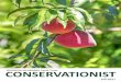 CONSERVATIONIST GEORGIA-ALABAMA Land Trust Fall 2017€¦ · (AVS) of its conservation easements in a timely manner. The seven-member staff of land stewards, incuding Stewardship