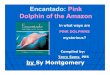 Encantado: Pink Dolphin of the Amazon · dolphin lake. Moises finally reveals the destination at dolphin lake. All you can see at first is a pink shimmer on the water’s surface
