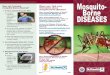 Mosquito- Borne - New Jersey€¦ · mosquito-borne diseases? Most people infected with a mosquito-borne illness do not show any symptoms. Depending on the disease, if symptoms do