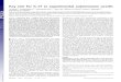 Key role for IL-21 in experimental autoimmune uveitis · uveitis and scleritis (26). Uveitis is a group of sight-threatening idiopathic intraoc-ular inﬂammatory diseases including