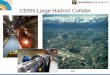 CERN Large Hadron Collider - Vanderbilt Universitygabellwe/qnweb/quarknet... · Large Hadron Collider (LHC) Circumference 27 km Two beams opposite directions proton on proton 8 TeV