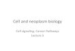 Cell and neoplasm aids...¢  ¢â‚¬¢Ultimately, a signal transduction pathway leads to regulation of one