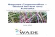 II - COGEN · 2020-04-21 · Bagasse cogeneration describes the use of fibrous sugarcane waste – bagasse – to cogenerate heat and electricity at high efficiency in sugar mills