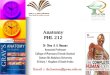Anatomy PHL 212 - psau.edu.sa€¦ · Gray's Anatomy for Students: With STUDENT CONSULT Online Access by Richard L. Drake, A. Wayne Vogl and Adam W. M. Mitchell The Complete Human