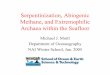 Serpentinization, Abiogenic Methane, and Extremophilic Archaea … · 2005-01-12 · Serpentinization, Abiogenic Methane, and Extremophilic Archaea within the Seafloor Michael J