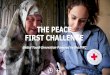 THE PEACE FIRST CHALLENGE - International …...The Peace First Challenge will be the largest global direct-to-youth investment ($1MM) in youth-led ideas for social innovation. Ever