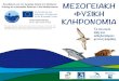 ΜΕΣΟΓΕΙΑΚΗ ΦΥΣΙΚΗ (2015-1-ES01-KA202-016332) Project ... · ελληνικές θάλασσες. Παγιδεύεται σε παραγάδια, αλλά πιάνεται
