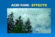 ACID RAIN: EFFECTSateneu.xtec.cat/.../lle/clsi/modul_3/acid_rain_effects.pdfWhen acid rain reaches the ground, it dissolves some of the minerals and carries them away. This process