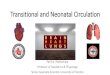 Transitional and Neonatal Circulation - MCA ... Transitional and Neonatal Circulation Patrick J McNamara Professor of Paediatrics & Physiology Senior Associate Scientist, University
