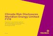 Climate Risk Disclosures Meridian Energy Limited FY19 · 2019-07-21 · CLIMATE RISK DISCLOSURES MERIDIAN ENERGY LIMITED FY19 | 3 1. Governance TCFD requirements • Describe the
