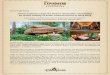Disney Explorers Lodge the Perfect “Staycation ... · mandrill from “The Lion King.” Together with the Dreamer's Spring and the outdoor Rain Drop Pool, the hotel features incredible