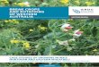 BREAK CROPS AND ROTATIONS REGIONAL CROPPING …€¦ · committed by the following growers for this case study booklet; Ben Strickland, Paul Trenorden, Brendan Geraghty, ... At their
