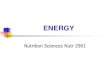 ENERGY - Študentski.net · Estimating energy requirement Calculate energy intake ... Daily energy expenditure as multiples of BMR (PAL) Males females Activity level Average Average