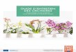 GUIDE D’ENTRETIEN DES ORCHIDÉES · 1 guide d’entretien des orchidÉes trois Étapes pour garder son orchidÉe en parfaite santÉ campagne financÉe avec l’aide de l’union