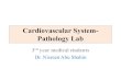 Cardiovascular System- Pathology Lab - JU Medicine€¦ · Cardiovascular System-Pathology Lab 3rd year medical students Dr. Nisreen Abu Shahin. Amniotic fluid ... following delivery