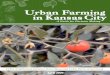 Urban Farming in Kansas City - Urban Neighborhood Initiative · Urban farming in Kansas City As a Midwestern city, ... encouraging and supporting urban farms: In 2010, local food